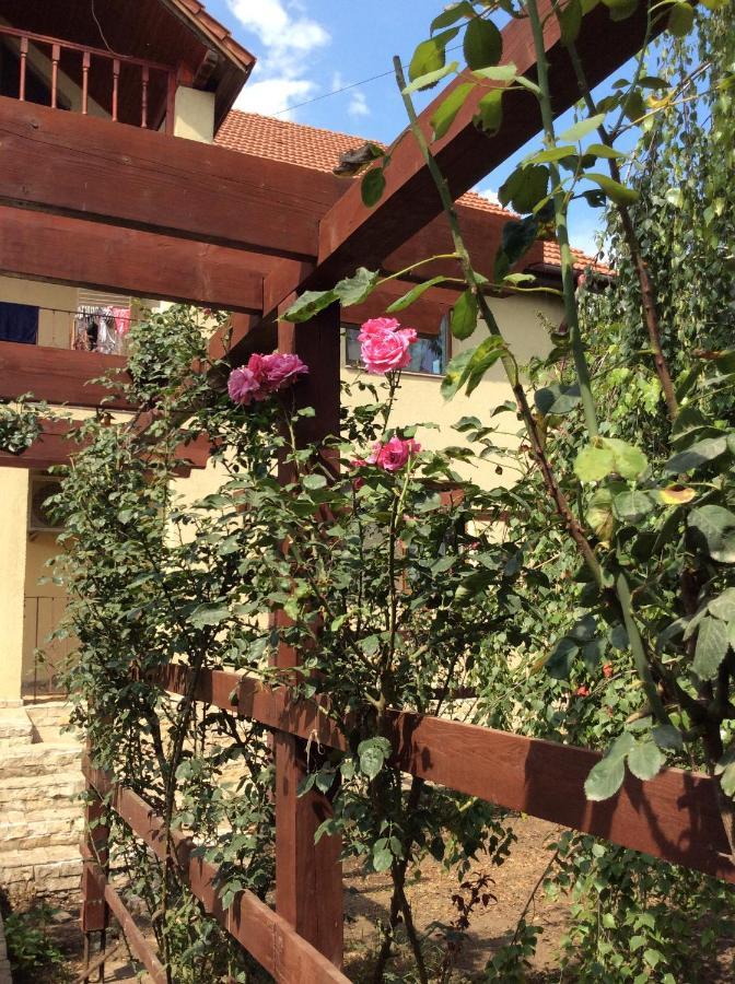 Villa Rosa Năvodari 외부 사진