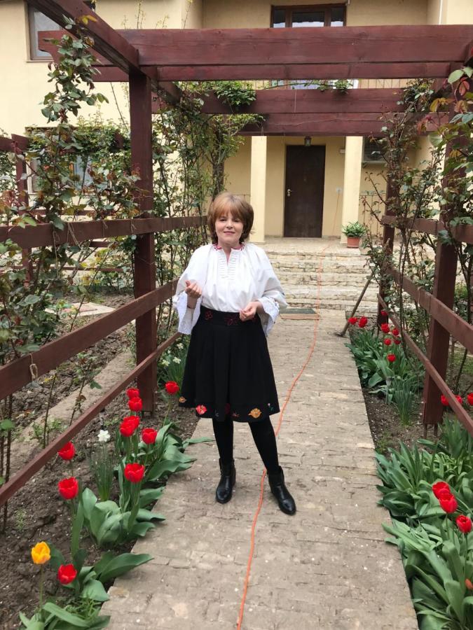 Villa Rosa Năvodari 외부 사진